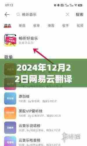 2024年网易云翻译实时翻译设置指南，轻松实现跨语言交流的必备指南