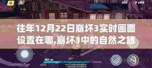 崩坏3实时画面设置揭秘，自然之旅与内心的平静魔法