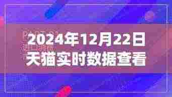 天猫实时数据洞察，未来商业智能的窗口，体验前沿科技极致魅力