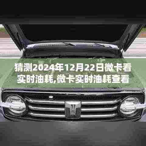 微卡实时油耗查看指南，初学者与进阶用户适用的步骤和预测（预测日期，2024年12月22日）