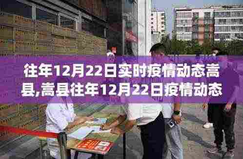 嵩县历年12月22日疫情动态分析与观点洞察