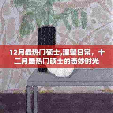 十二月热门硕士的奇妙时光与温馨日常