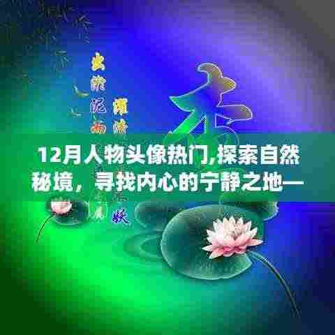 十二月人物头像热门之旅，探索自然秘境，寻找内心宁静