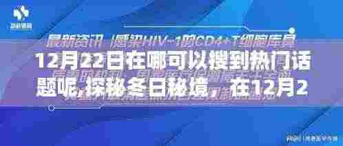 探秘冬日秘境，与自然共舞的心灵之旅，热门话题尽在12月22日