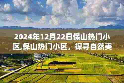 淡泊以明志，宁静以致远 第4页