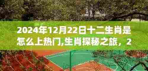 冬至生肖探秘之旅，寻找热门生肖与内心的宁静