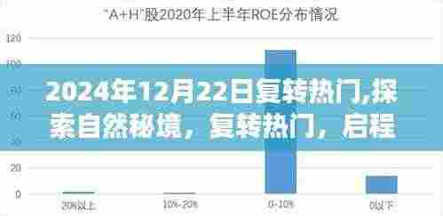 探索自然秘境，启程心灵之旅，复转热门的心灵探索之旅（2024年）