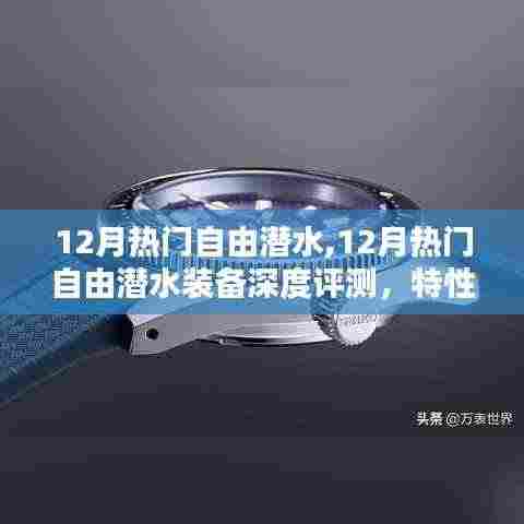 12月热门自由潜水装备全面解析，特性、体验与竞品对比深度评测