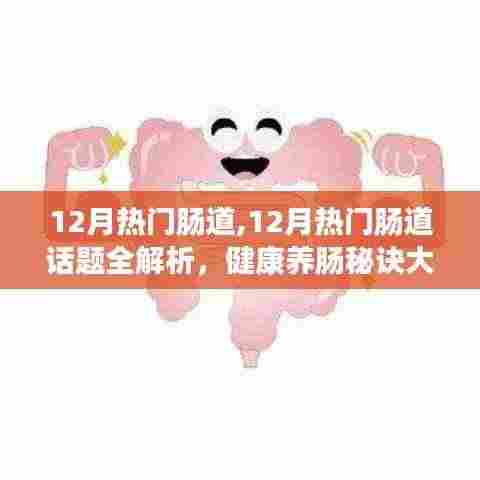 揭秘十二月肠道健康热点话题，肠道养生秘诀大解析