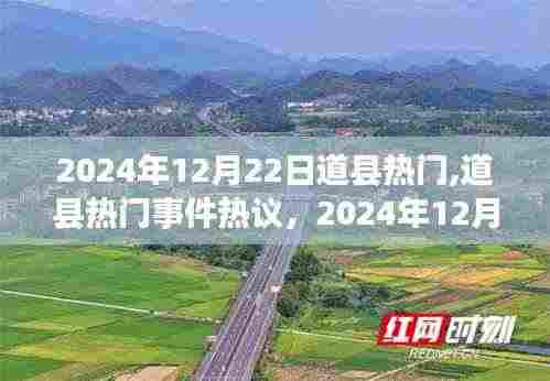 飞扬拨扈 第4页