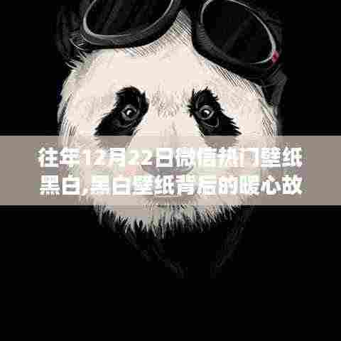 黑白壁纸背后的暖心故事，微信热门壁纸与温馨朋友聚会的回忆