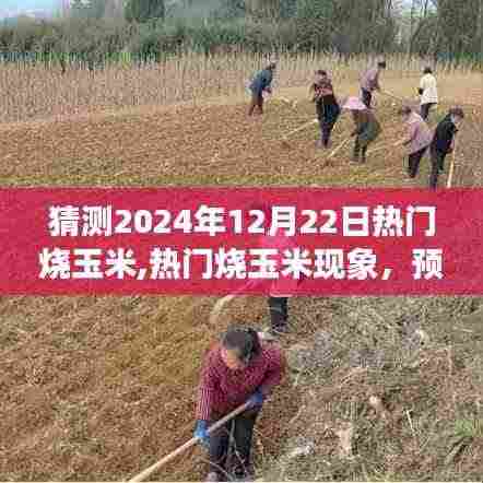 预测与探讨，2024年12月22日烧玉米热潮的兴起与现象