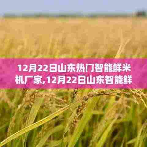 山东智能鲜米机厂家励志之旅，学习变化，自信铸就未来成功之路