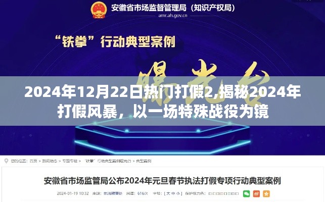 揭秘2024年打假风暴，一场特殊战役的启示与反思