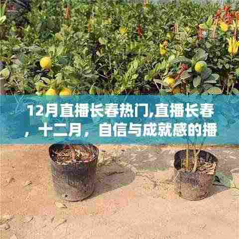 12月长春直播热潮，播种自信与成就感的季节