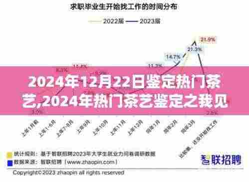 2024年热门茶艺鉴定深度解析，我的见解与体验