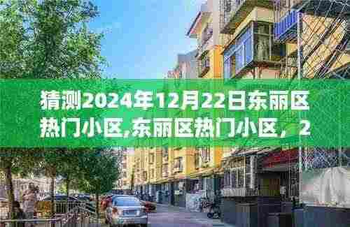 东丽区热门小区展望与回顾,预测2024年12月22日的趋势与变化
