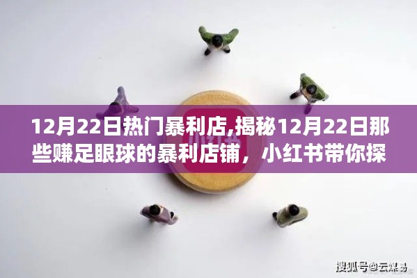 揭秘12月22日暴利店铺背后的成功秘诀，小红书带你探秘赚足眼球的财富之路！