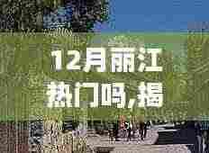 揭秘十二月丽江旅游热潮，玩转丽江的最佳攻略