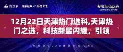 张皇铺饰 第4页