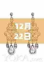 时尚魅力闪耀，12月22日热门耳环特效的独特风采