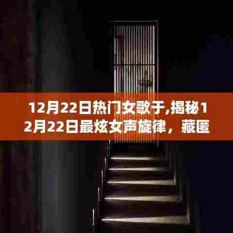 揭秘巷弄深处的音乐小酒馆，12月22日最炫女声旋律精选之夜