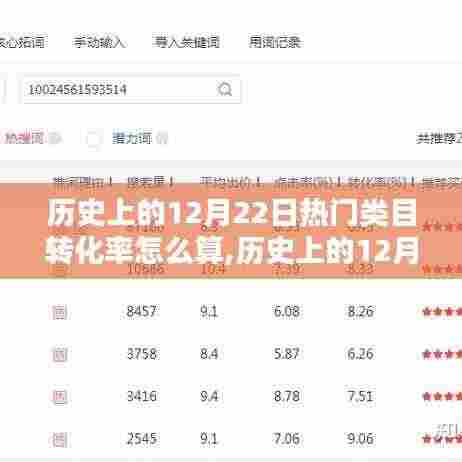 历史上的12月22日电商类目转化率的深度解析与计算方式