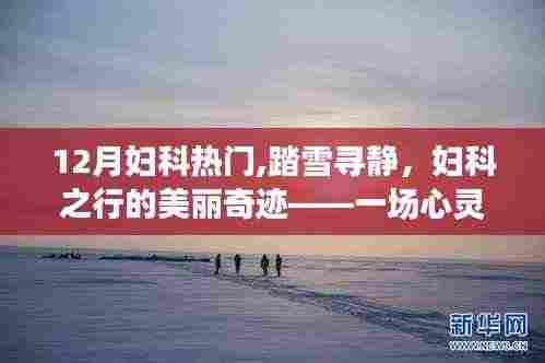 十二月妇科之旅，踏雪寻静，心灵与自然共舞的美丽奇迹