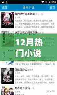 12月热门小说全面评测与介绍，一网打尽！