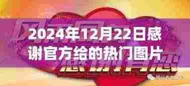 感恩馈赠，热门图片背后的故事与特殊的光辉时刻（2024年12月22日）