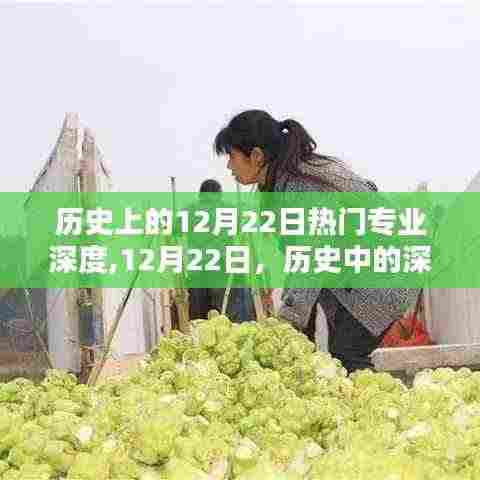 揭秘历史上的热门专业深度，笑声背后的历史深度解读日（12月22日）