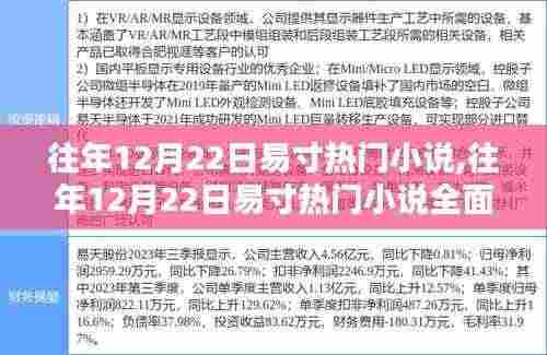 往年12月22日易寸热门小说的全面评测与介绍