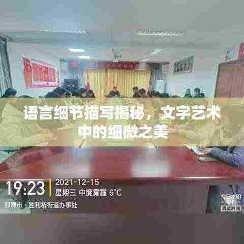语言细节描写揭秘，文字艺术中的细微之美
