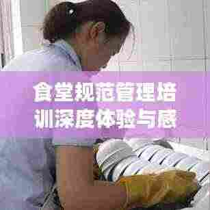 食堂规范管理培训深度体验与感悟