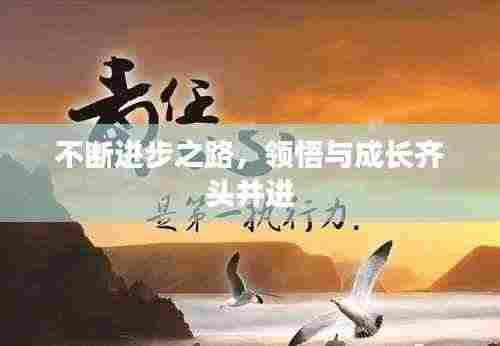 不断进步之路，领悟与成长齐头并进