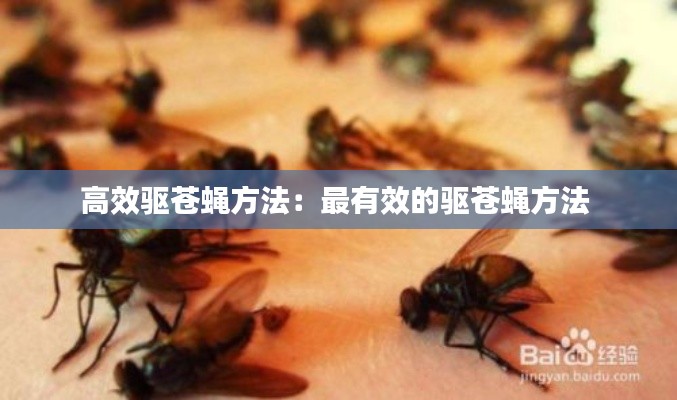 高效驱苍蝇方法：最有效的驱苍蝇方法 