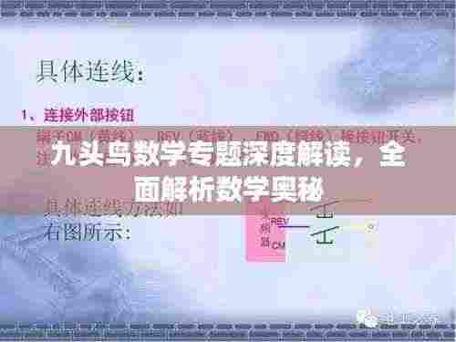 九头鸟数学专题深度解读，全面解析数学奥秘