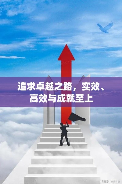 追求卓越之路，实效、高效与成就至上