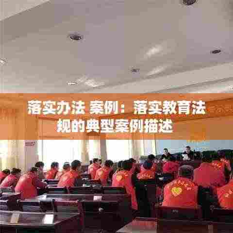 落实办法 案例：落实教育法规的典型案例描述 