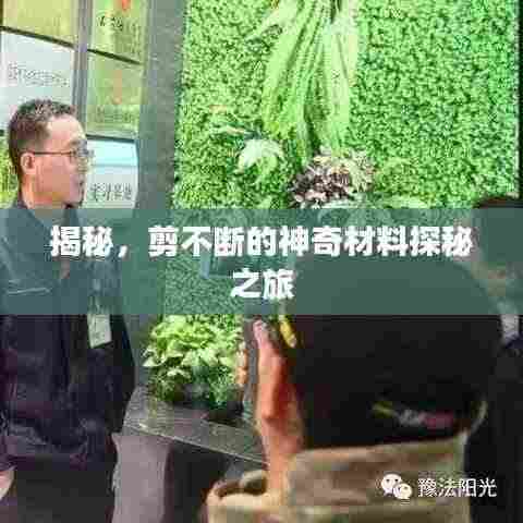 揭秘，剪不断的神奇材料探秘之旅