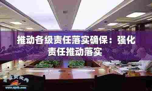 推动各级责任落实确保：强化责任推动落实 