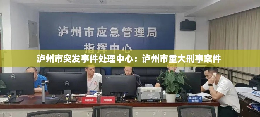 泸州市突发事件处理中心：泸州市重大刑事案件 