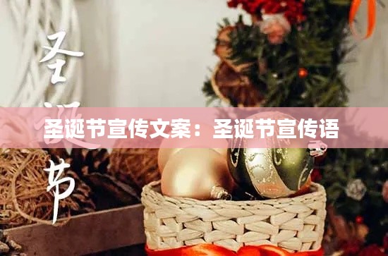 圣诞节宣传文案：圣诞节宣传语 