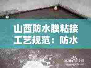 囊萤映雪 第4页