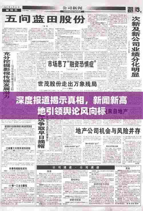 深度报道揭示真相，新闻新高地引领舆论风向标