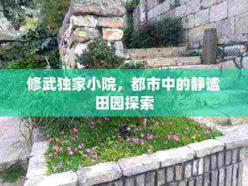 修武独家小院，都市中的静谧田园探索