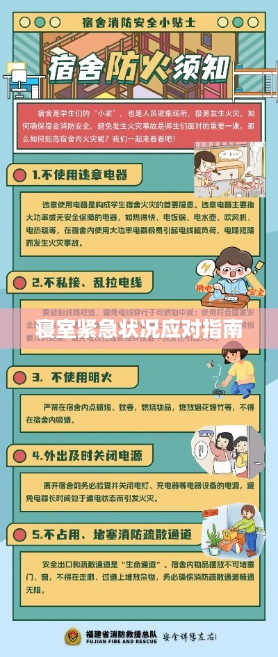 物稀为贵 第4页