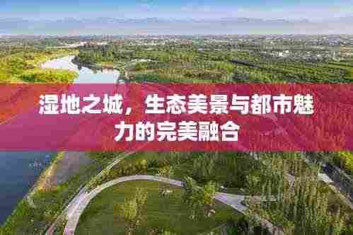 湿地之城，生态美景与都市魅力的完美融合