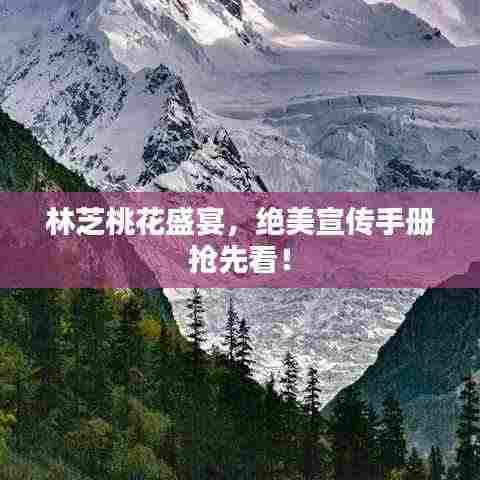 五角六张 第4页