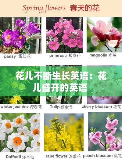 不求甚解 第4页